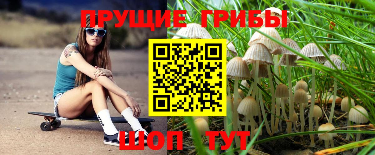 Псилоцибиновые грибы Magic Shrooms Хабаровск