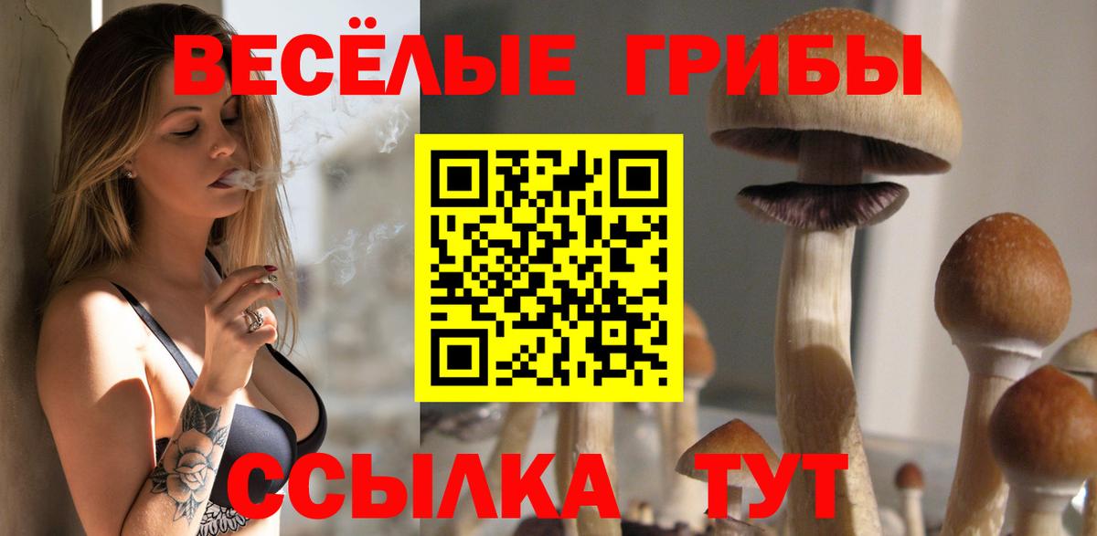 Галлюциногенные грибы Cubensis  Галлюциногенные грибы Cubensis  Хабаровск  Вход с VPN 